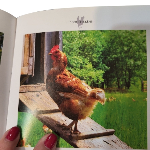 Cool Chickens Book NEW By Fern Collins - Picture 11 of 14